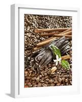 Coffee Beans, Vanilla Pods and Cinnamon Sticks-Karl Newedel-Framed Photographic Print