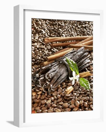 Coffee Beans, Vanilla Pods and Cinnamon Sticks-Karl Newedel-Framed Photographic Print