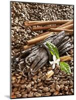 Coffee Beans, Vanilla Pods and Cinnamon Sticks-Karl Newedel-Mounted Photographic Print