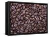 Coffee Beans, Washington, USA-Jamie & Judy Wild-Framed Stretched Canvas