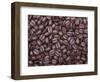 Coffee Beans, Washington, USA-Jamie & Judy Wild-Framed Photographic Print