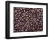 Coffee Beans, Washington, USA-Jamie & Judy Wild-Framed Photographic Print