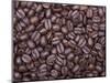 Coffee Beans, Washington, USA-Jamie & Judy Wild-Mounted Photographic Print