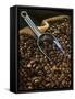 Coffee Beans with Metal Scoop in Sack-Vladimir Shulevsky-Framed Stretched Canvas