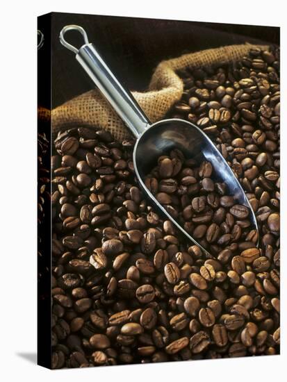 Coffee Beans with Metal Scoop in Sack-Vladimir Shulevsky-Stretched Canvas