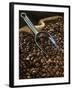 Coffee Beans with Metal Scoop in Sack-Vladimir Shulevsky-Framed Photographic Print