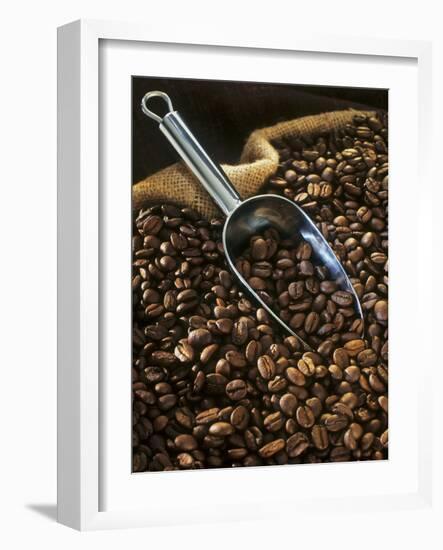 Coffee Beans with Metal Scoop in Sack-Vladimir Shulevsky-Framed Photographic Print