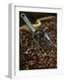 Coffee Beans with Metal Scoop in Sack-Vladimir Shulevsky-Framed Photographic Print