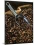 Coffee Beans with Metal Scoop in Sack-Vladimir Shulevsky-Mounted Photographic Print