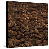 Coffee Beans-Alexander Feig-Stretched Canvas