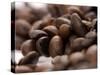 Coffee Beans-Gustavo Andrade-Stretched Canvas