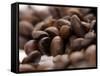 Coffee Beans-Gustavo Andrade-Framed Stretched Canvas