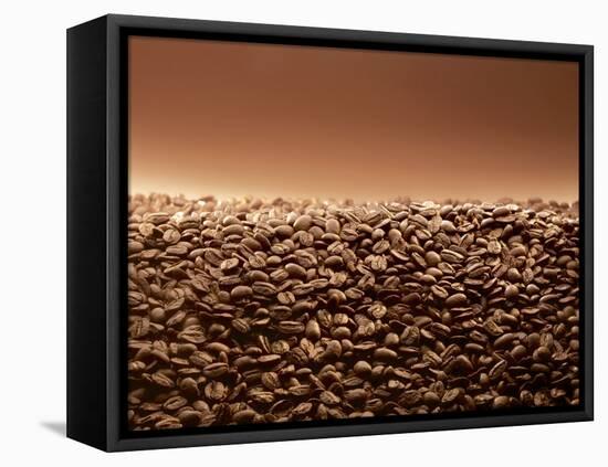 Coffee Beans-null-Framed Stretched Canvas