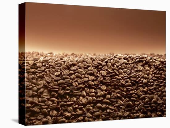 Coffee Beans-null-Stretched Canvas