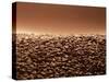 Coffee Beans-null-Stretched Canvas