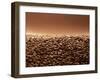 Coffee Beans-null-Framed Photographic Print