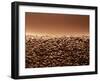 Coffee Beans-null-Framed Photographic Print