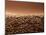 Coffee Beans-null-Mounted Photographic Print