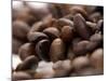 Coffee Beans-Gustavo Andrade-Mounted Photographic Print