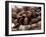 Coffee Beans-Gustavo Andrade-Framed Photographic Print