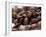 Coffee Beans-Gustavo Andrade-Framed Photographic Print