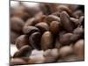Coffee Beans-Gustavo Andrade-Mounted Photographic Print