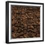 Coffee Beans-Alexander Feig-Framed Photographic Print