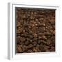 Coffee Beans-Alexander Feig-Framed Photographic Print