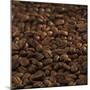 Coffee Beans-Alexander Feig-Mounted Photographic Print