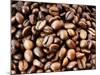 Coffee Beans-Dieter Heinemann-Mounted Photographic Print