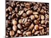 Coffee Beans-Dieter Heinemann-Mounted Photographic Print