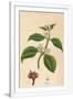 Gramercy White