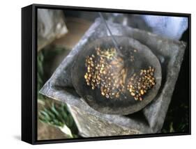 Coffee Ceremony, Lalibela, Wollo Region, Ethiopia, Africa-Bruno Barbier-Framed Stretched Canvas