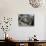 Coffee Ceremony, Lalibela, Wollo Region, Ethiopia, Africa-Bruno Barbier-Stretched Canvas displayed on a wall