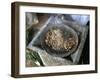 Coffee Ceremony, Lalibela, Wollo Region, Ethiopia, Africa-Bruno Barbier-Framed Photographic Print