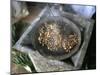 Coffee Ceremony, Lalibela, Wollo Region, Ethiopia, Africa-Bruno Barbier-Mounted Photographic Print