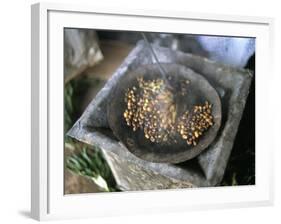 Coffee Ceremony, Lalibela, Wollo Region, Ethiopia, Africa-Bruno Barbier-Framed Photographic Print