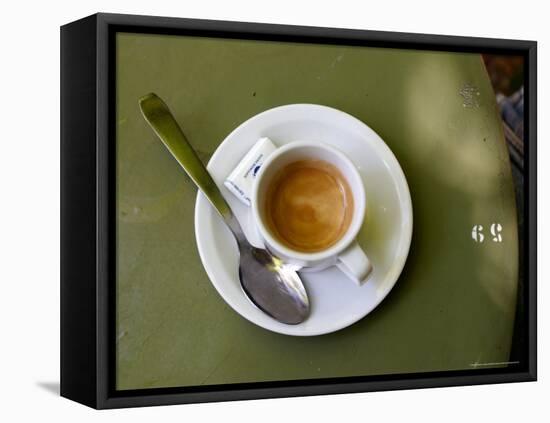 Coffee Cup, Luxemburg Gardens, Paris, France-Michele Molinari-Framed Stretched Canvas