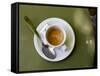 Coffee Cup, Luxemburg Gardens, Paris, France-Michele Molinari-Framed Stretched Canvas