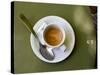 Coffee Cup, Luxemburg Gardens, Paris, France-Michele Molinari-Stretched Canvas