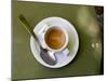 Coffee Cup, Luxemburg Gardens, Paris, France-Michele Molinari-Mounted Photographic Print