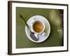 Coffee Cup, Luxemburg Gardens, Paris, France-Michele Molinari-Framed Photographic Print