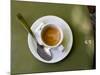 Coffee Cup, Luxemburg Gardens, Paris, France-Michele Molinari-Mounted Photographic Print