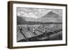 Coffee, Guatemala, 1877-null-Framed Art Print