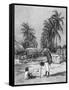 Coffee, Guatemala, Village-J. Hellawells-Framed Stretched Canvas