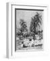 Coffee, Guatemala, Village-J. Hellawells-Framed Art Print