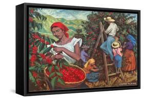 Coffee Harvest-null-Framed Stretched Canvas