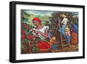 Coffee Harvest-null-Framed Art Print