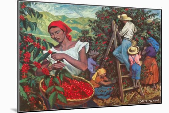 Coffee Harvest-null-Mounted Art Print