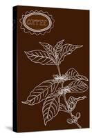 Coffee Plant Illustration-cienpies-Stretched Canvas